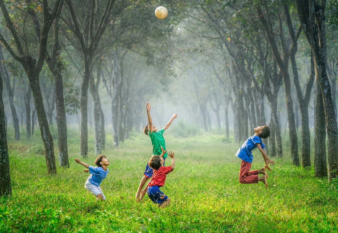 Playground Safety and Compliance Handbook